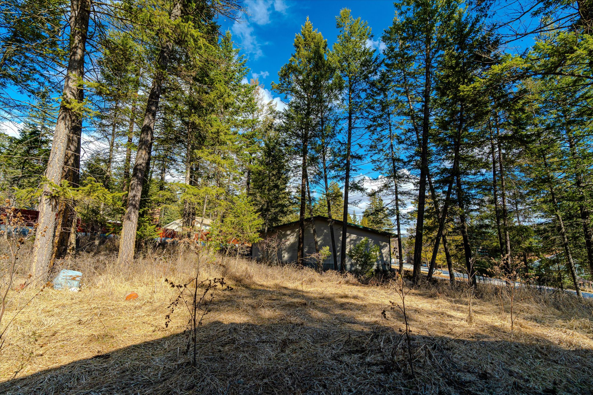 181 Mallard Loop Property Photo 43