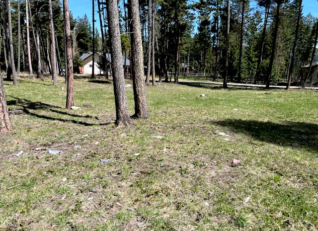 13962 Pine Street Property Photo 6