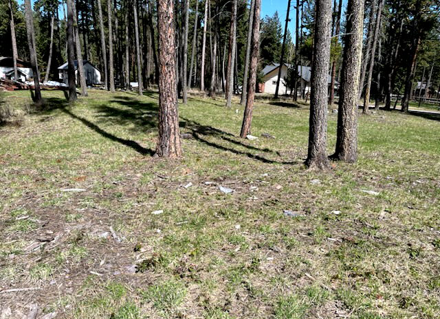 13962 Pine Street Property Photo 7