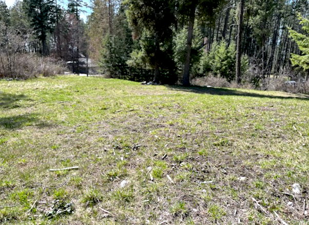 13962 Pine Street Property Photo 9