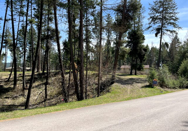 13962 Pine Street Property Photo 10
