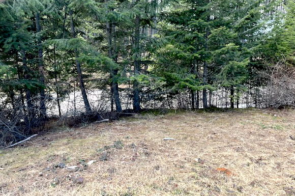 13962 Pine Street Property Photo 13