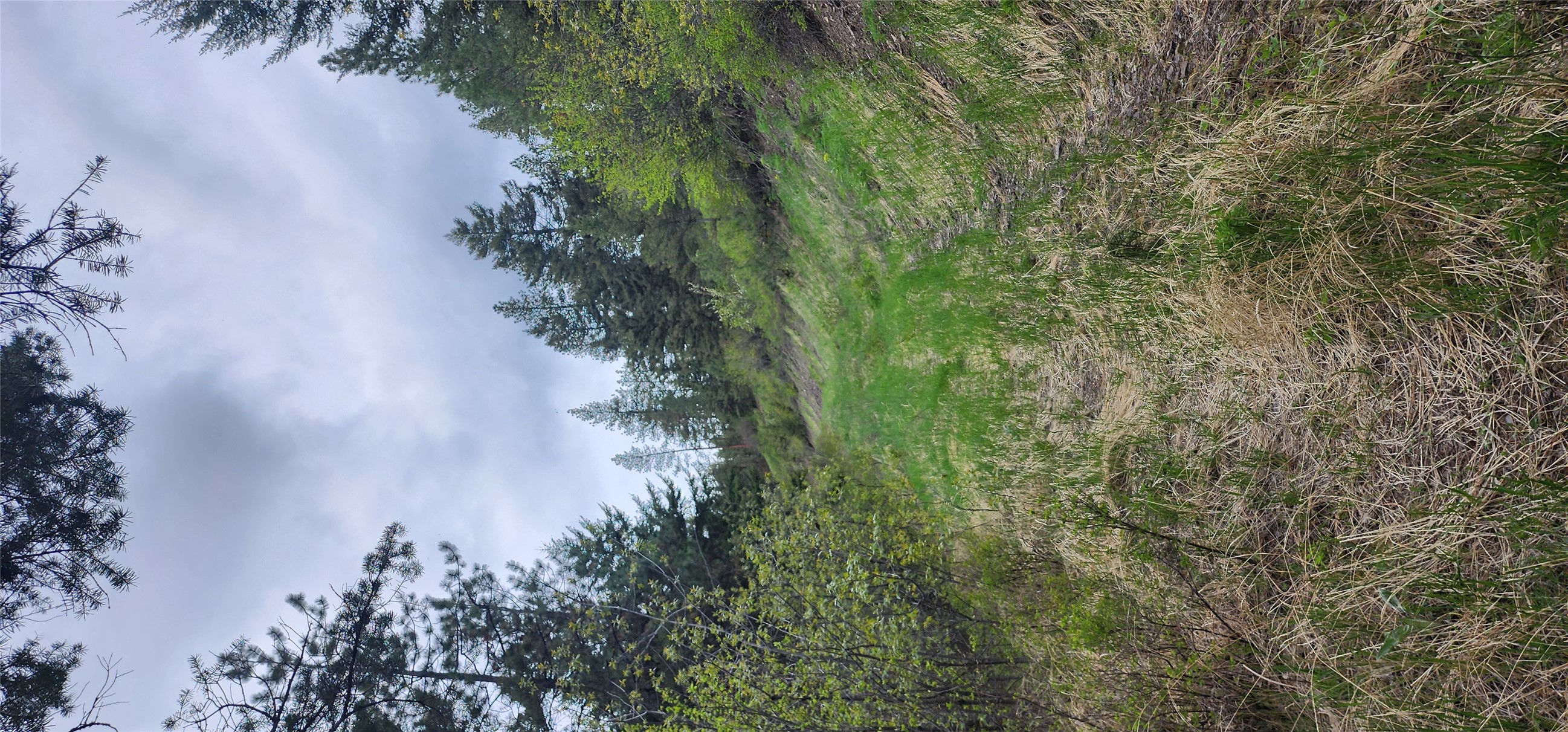Nhn Copper Ridge Road Property Photo