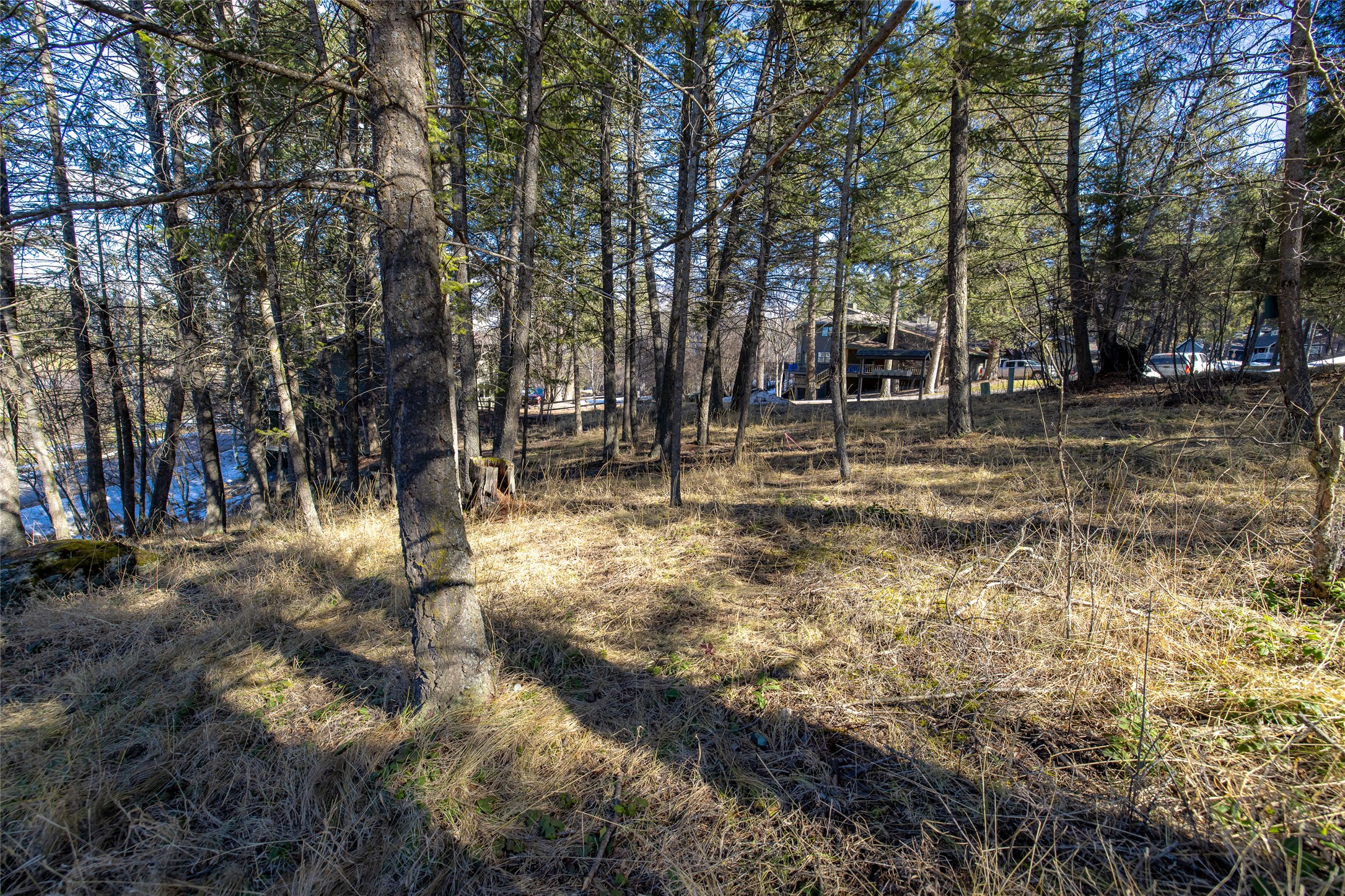 230 Eagle Bend Drive Property Photo 5