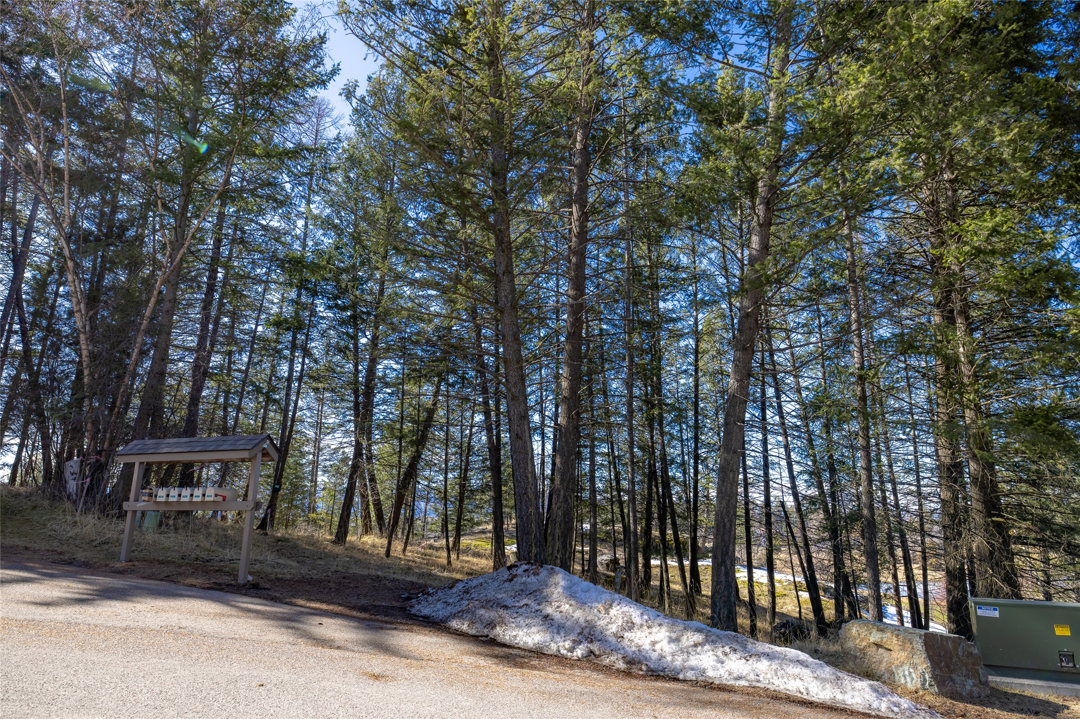 230 Eagle Bend Drive Property Photo 14