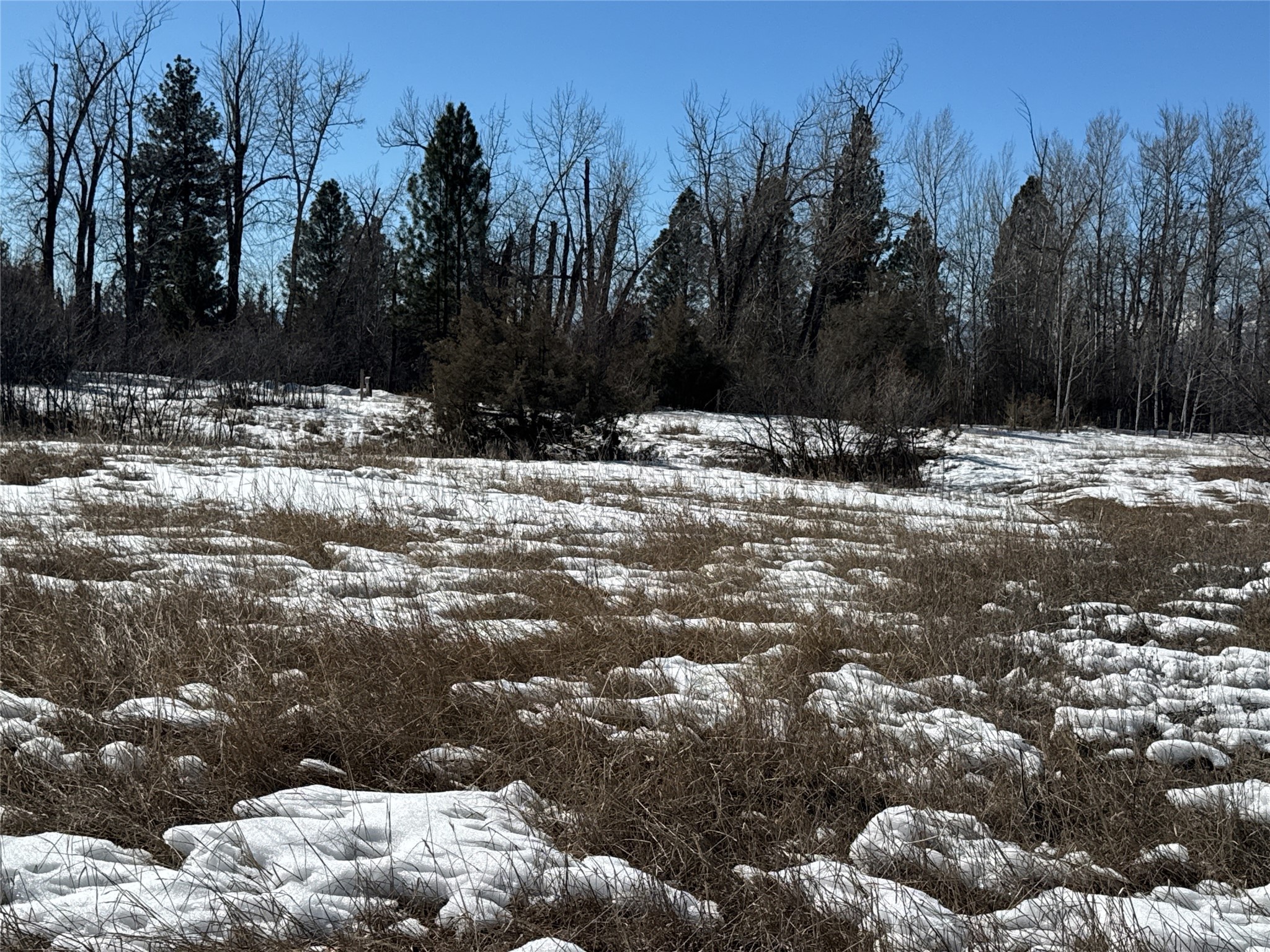 Nhn Middle Burnt Fork Road Property Photo 2