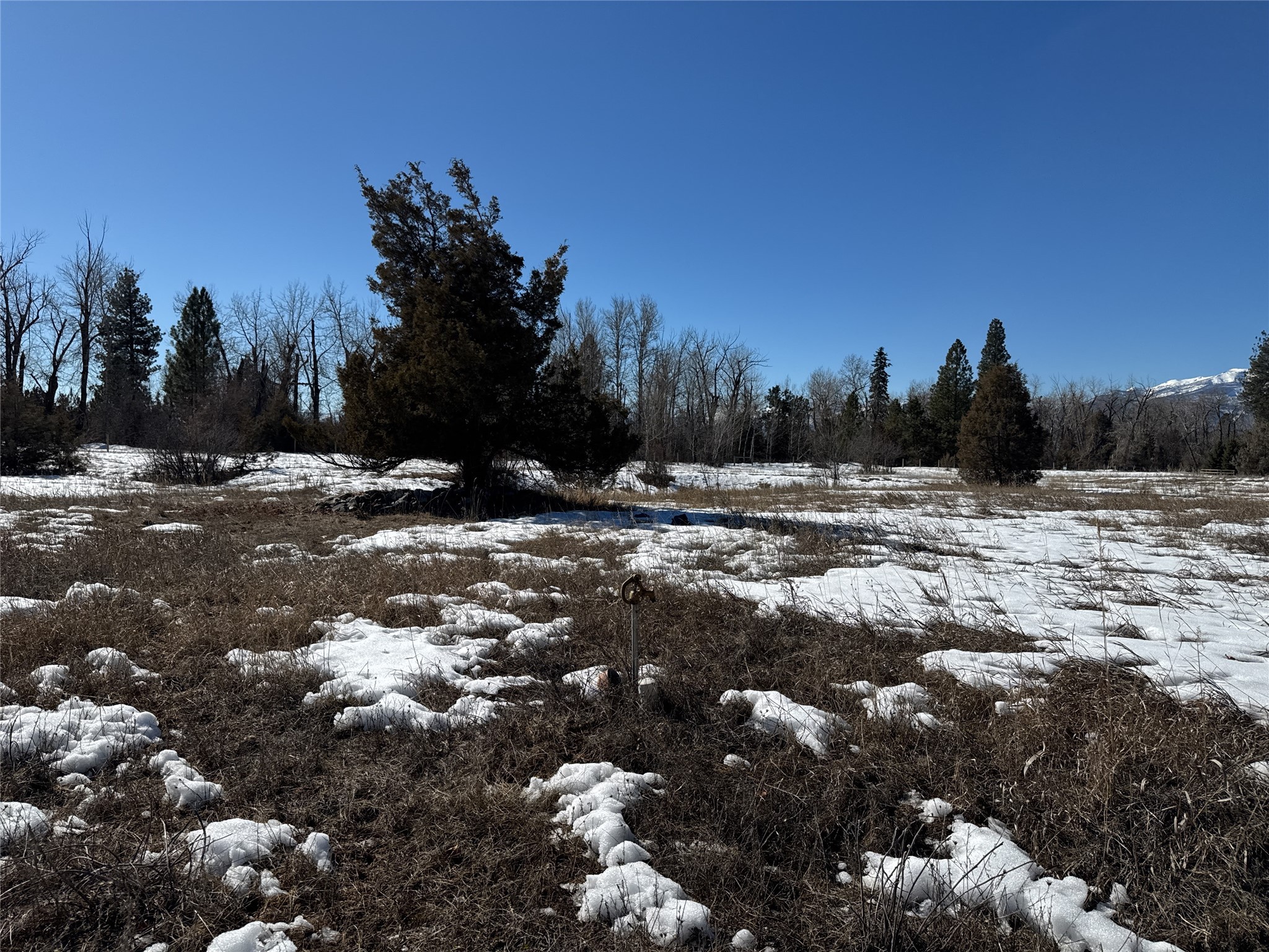 Nhn Middle Burnt Fork Road Property Photo 3