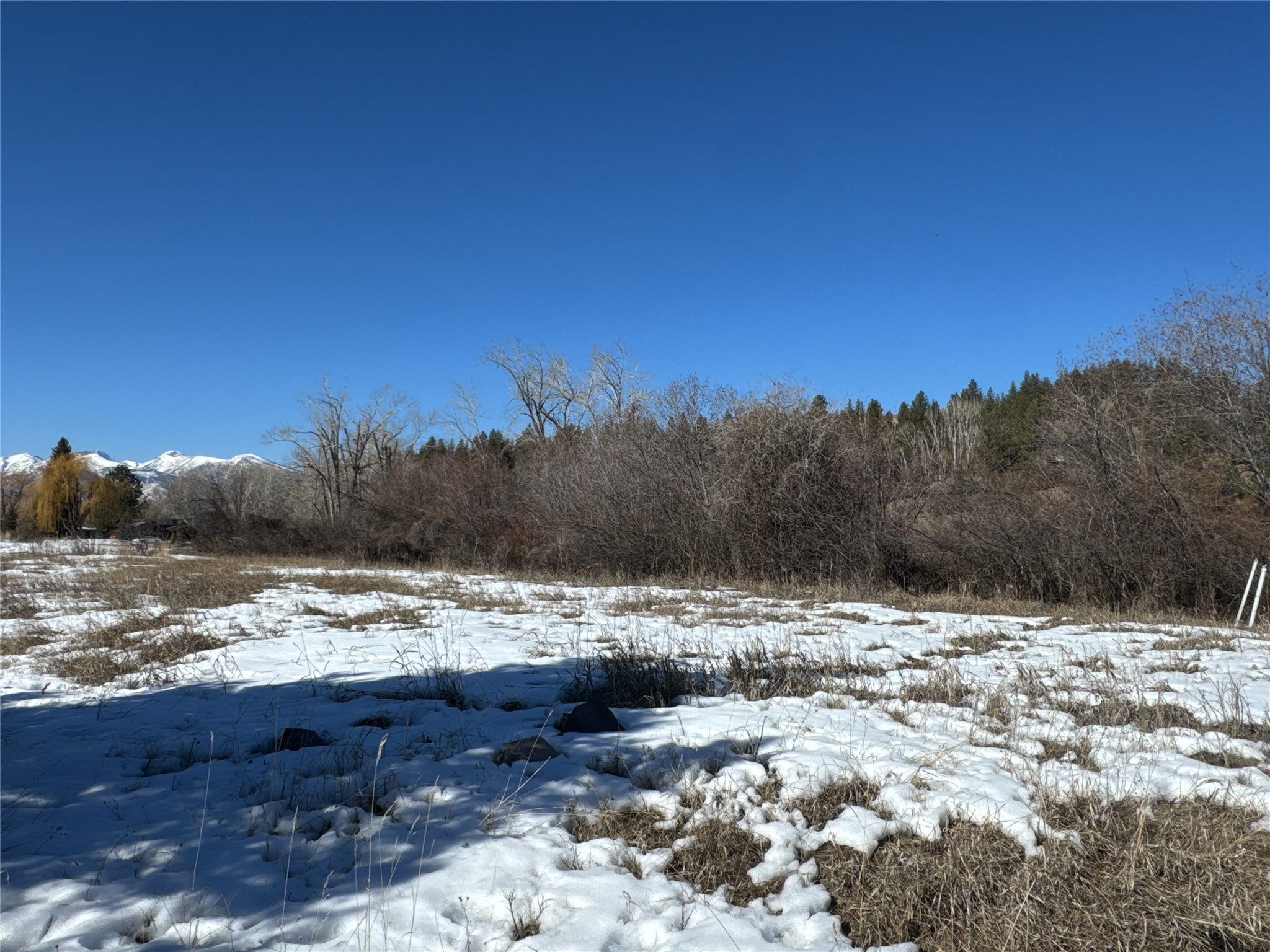 Nhn Middle Burnt Fork Road Property Photo 7