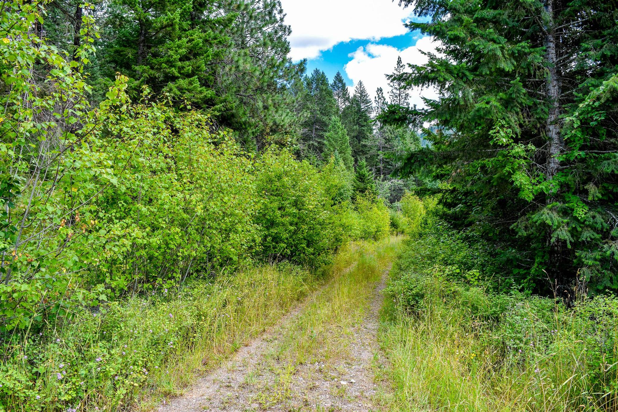 Nhn St. Mary's Lake Road Property Photo 8