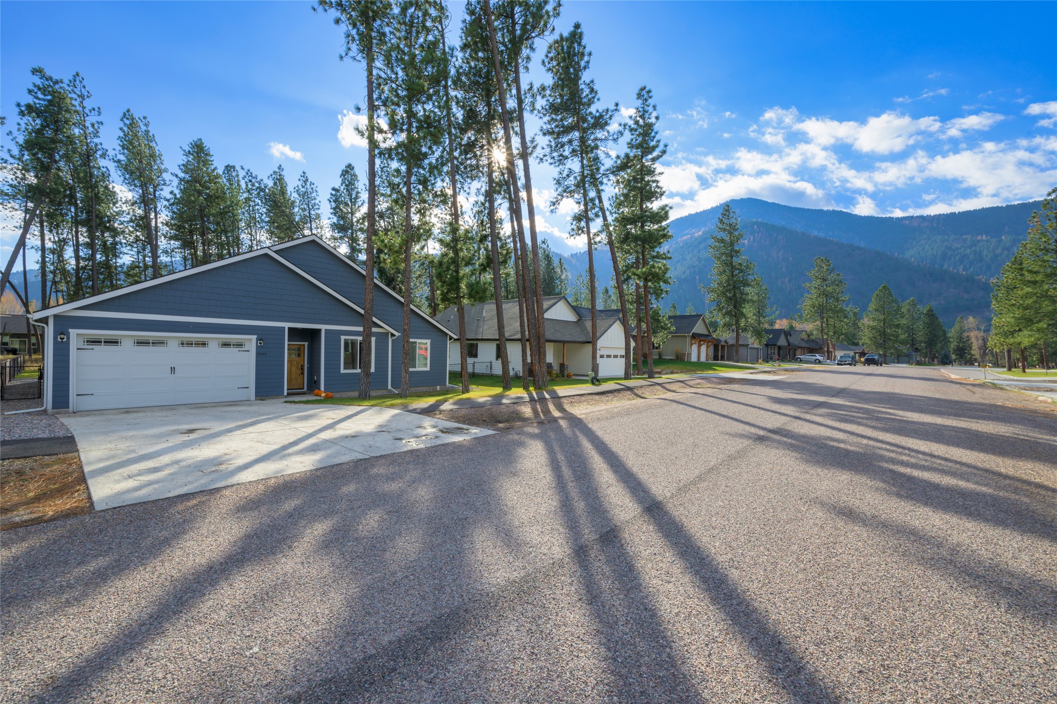 11549 Ninebark Way Property Photo 2