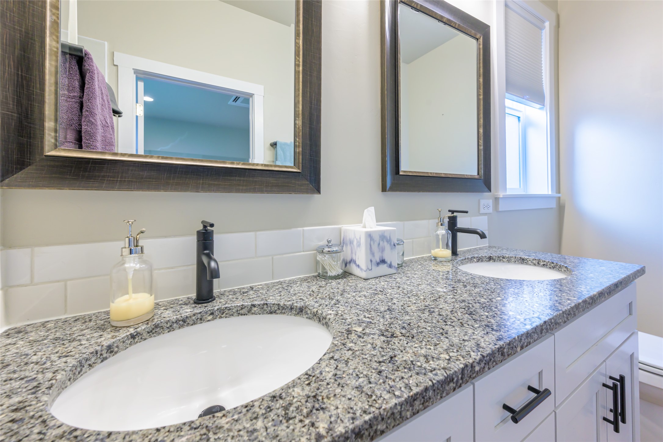11549 Ninebark Way Property Photo 38