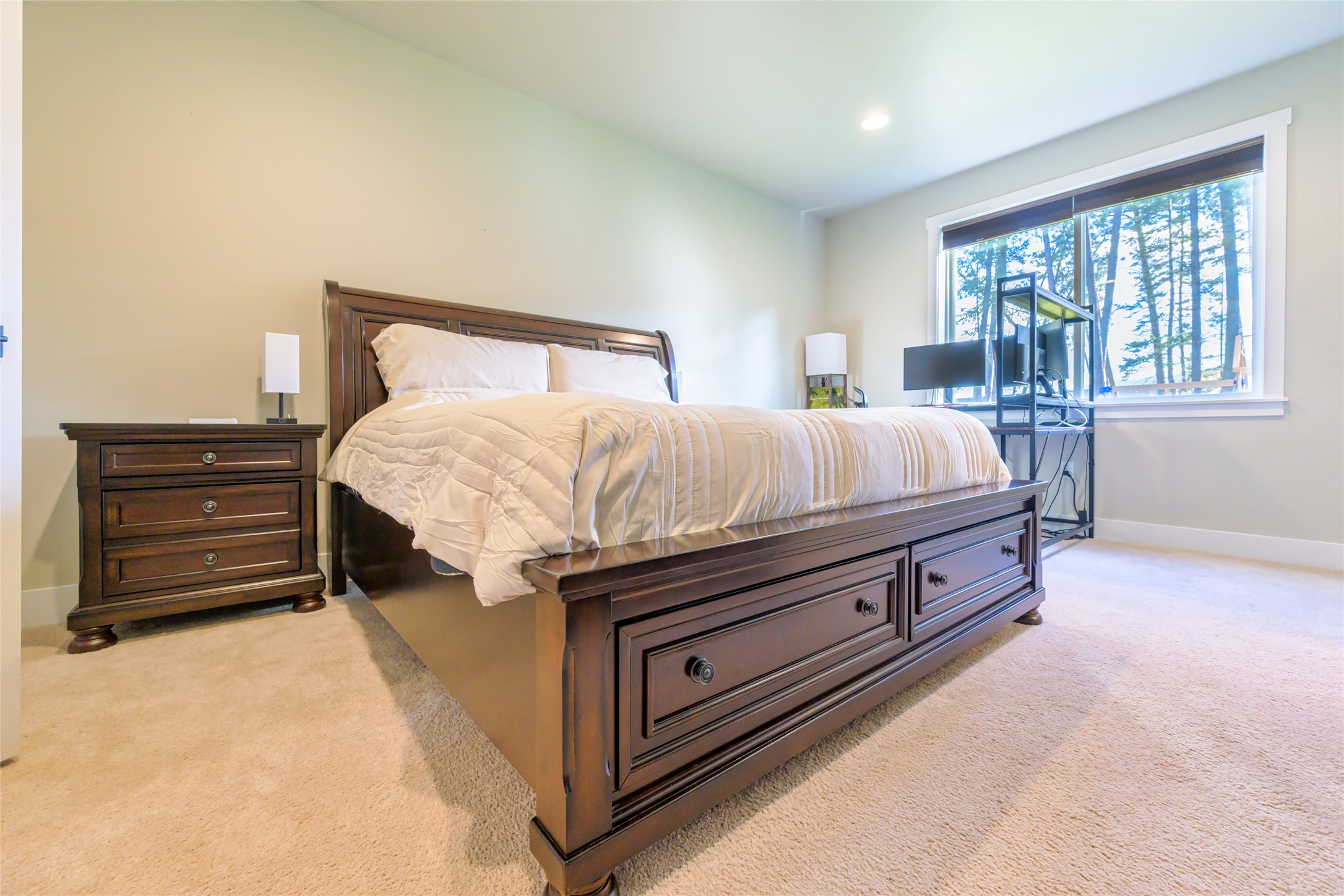 11549 Ninebark Way Property Photo 42