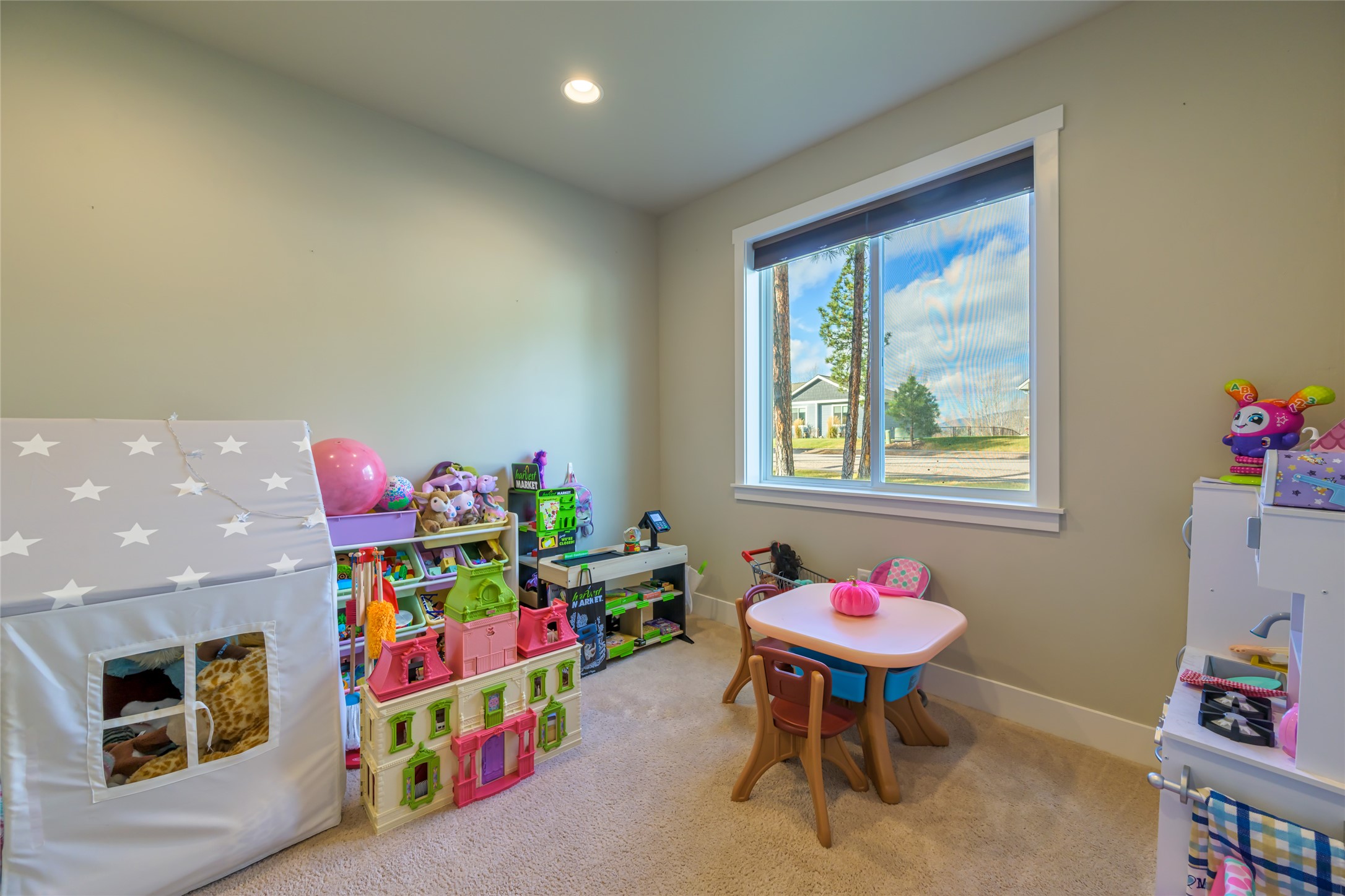 11549 Ninebark Way Property Photo 51