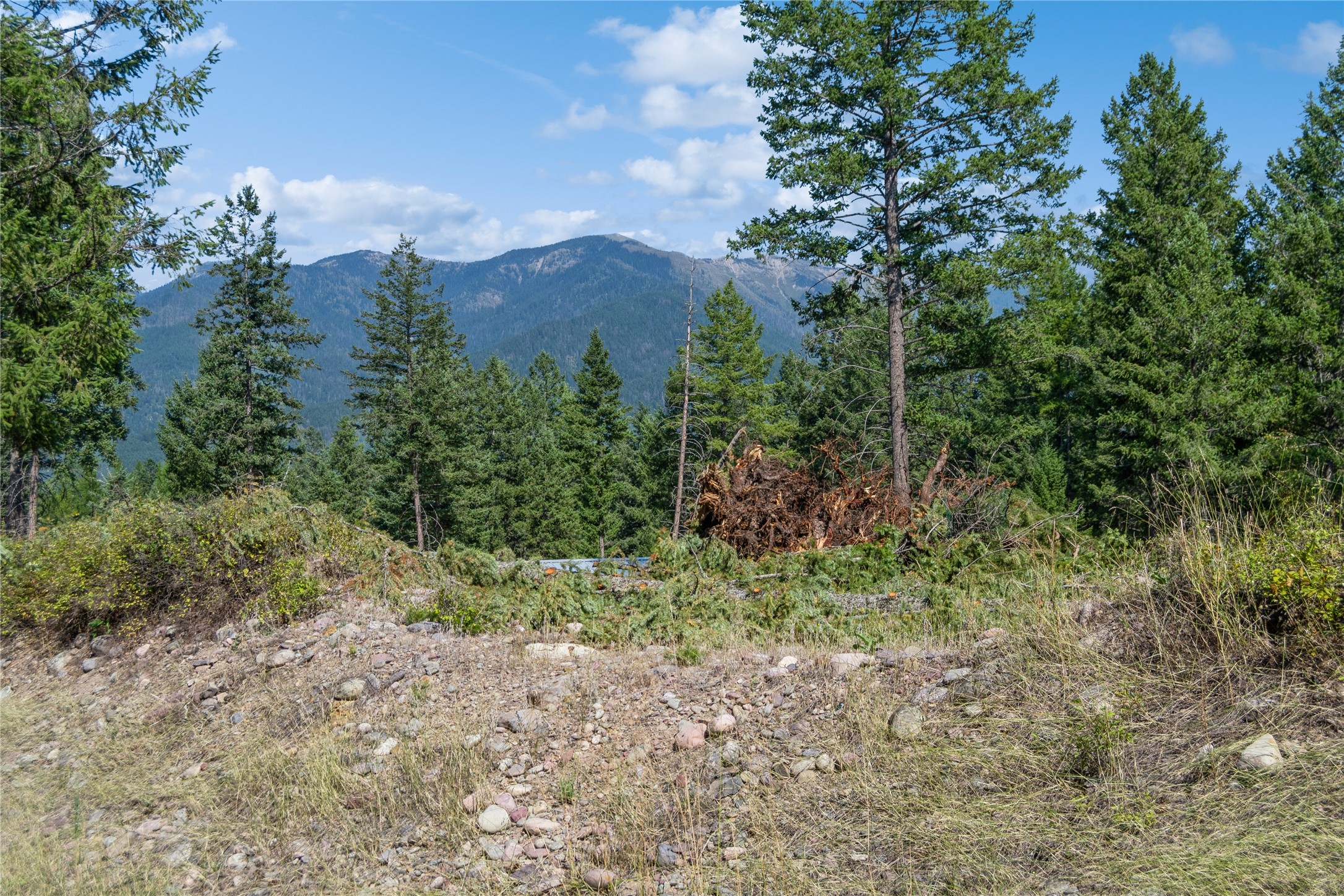325 Kathy Lake Lane Property Photo 1