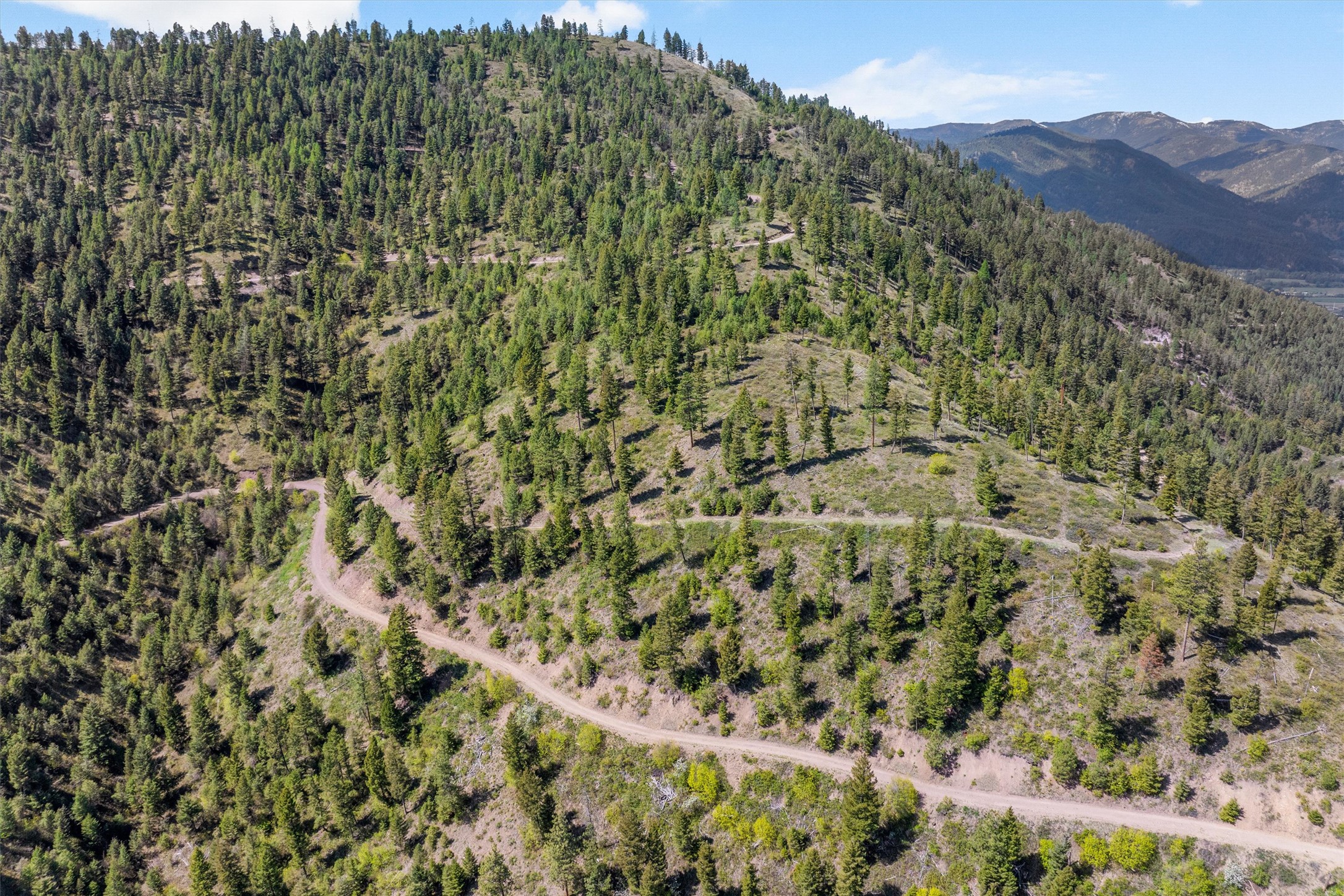 25575 Patter Spur Road S Property Photo 11
