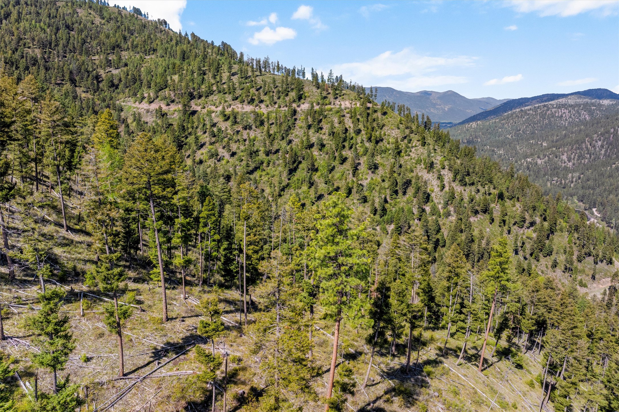 25575 Patter Spur Road S Property Photo 15