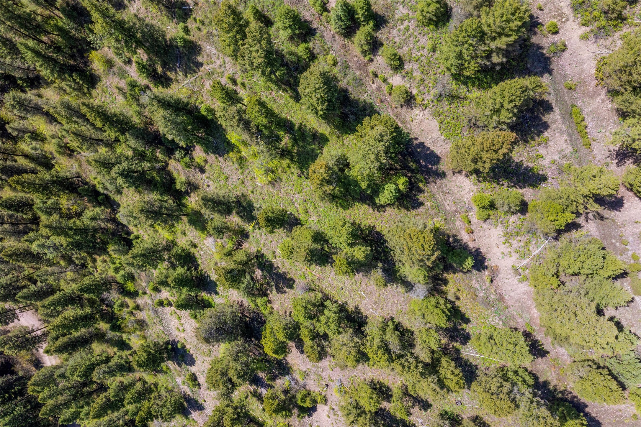25575 Patter Spur Road S Property Photo 16