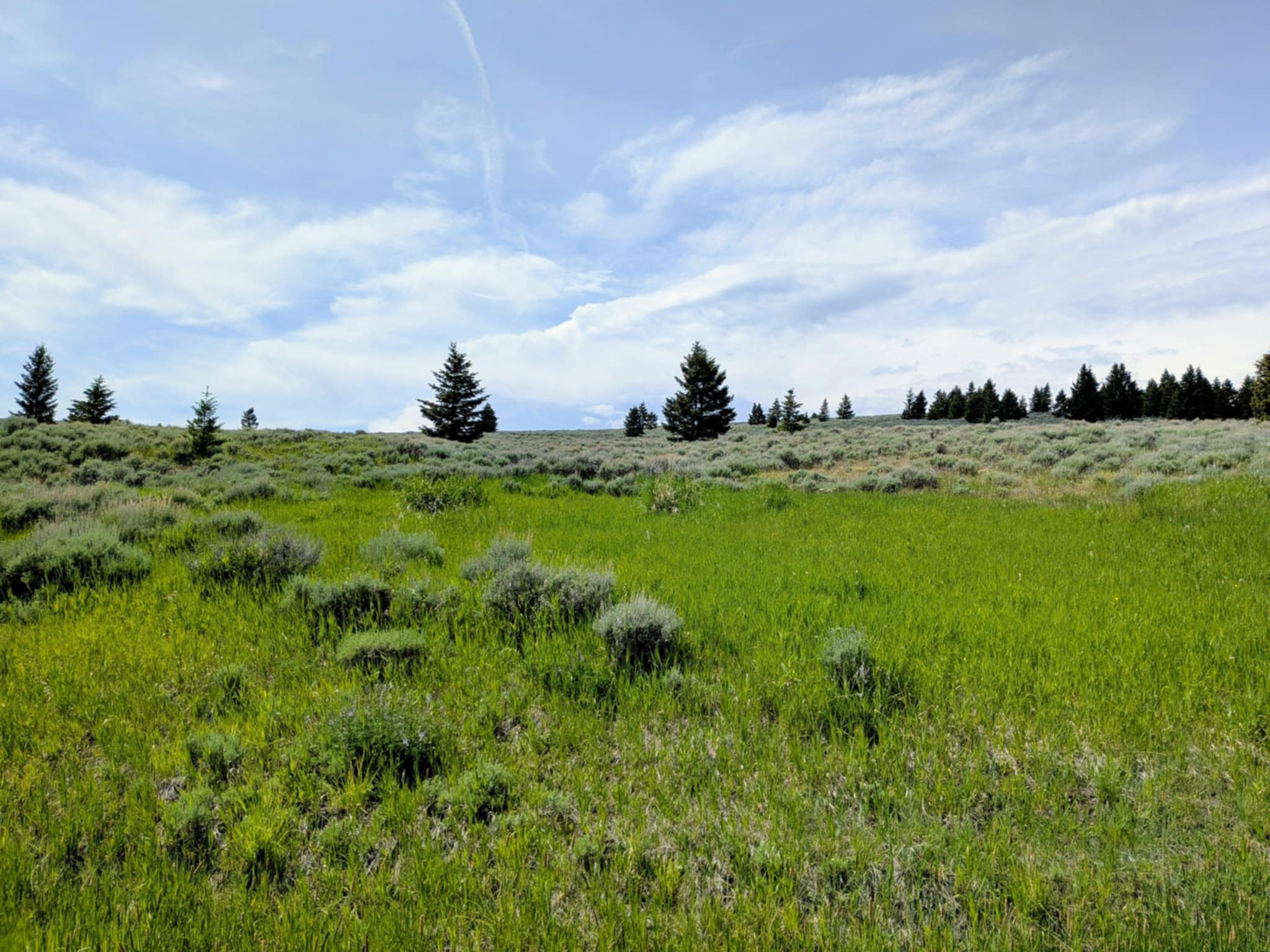 127 Panorama Drive Property Photo 1