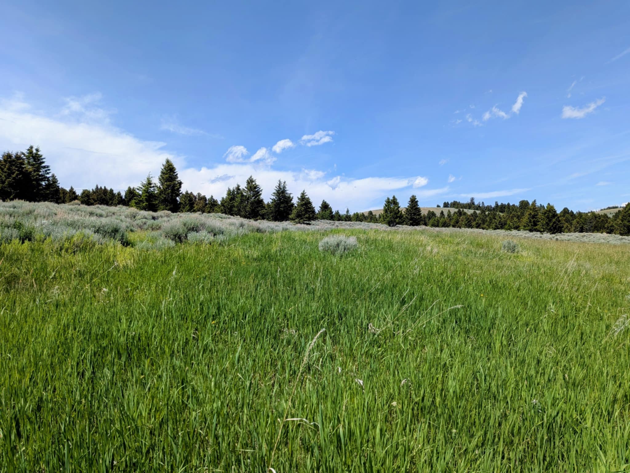 127 Panorama Drive Property Photo 2