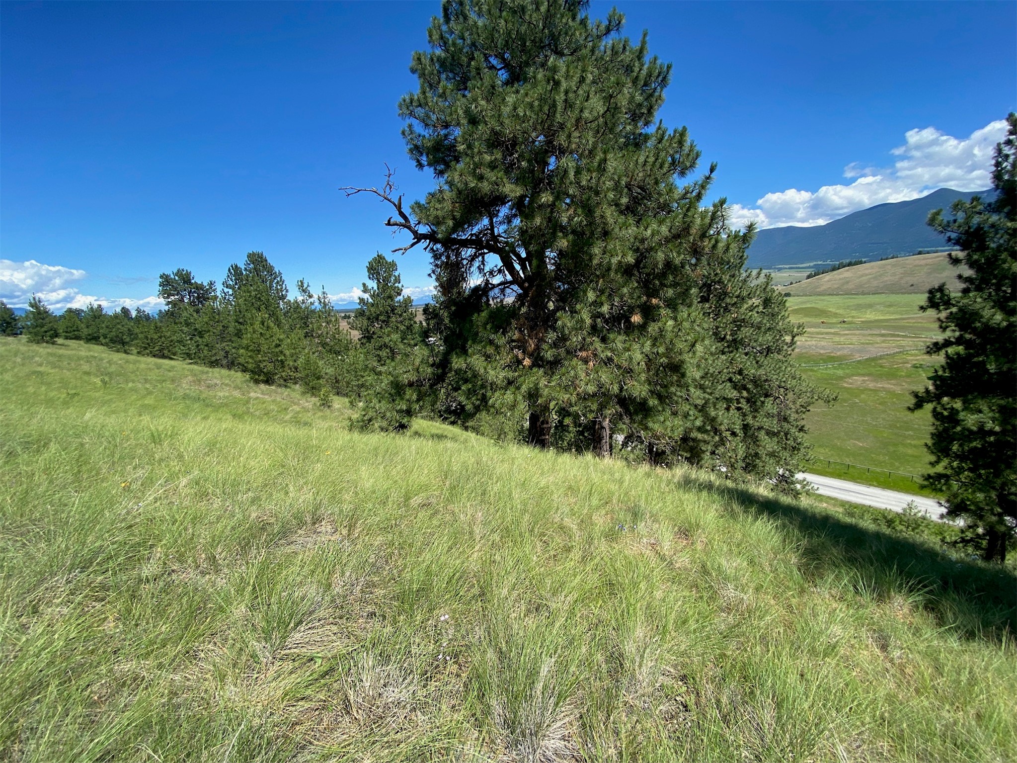 Nhn Lindsay Road Property Photo