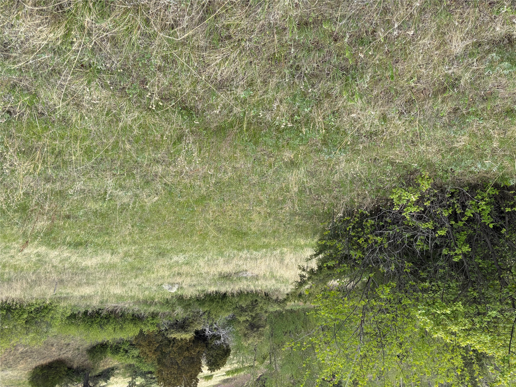 Tbd Beartooth Road Property Photo 3