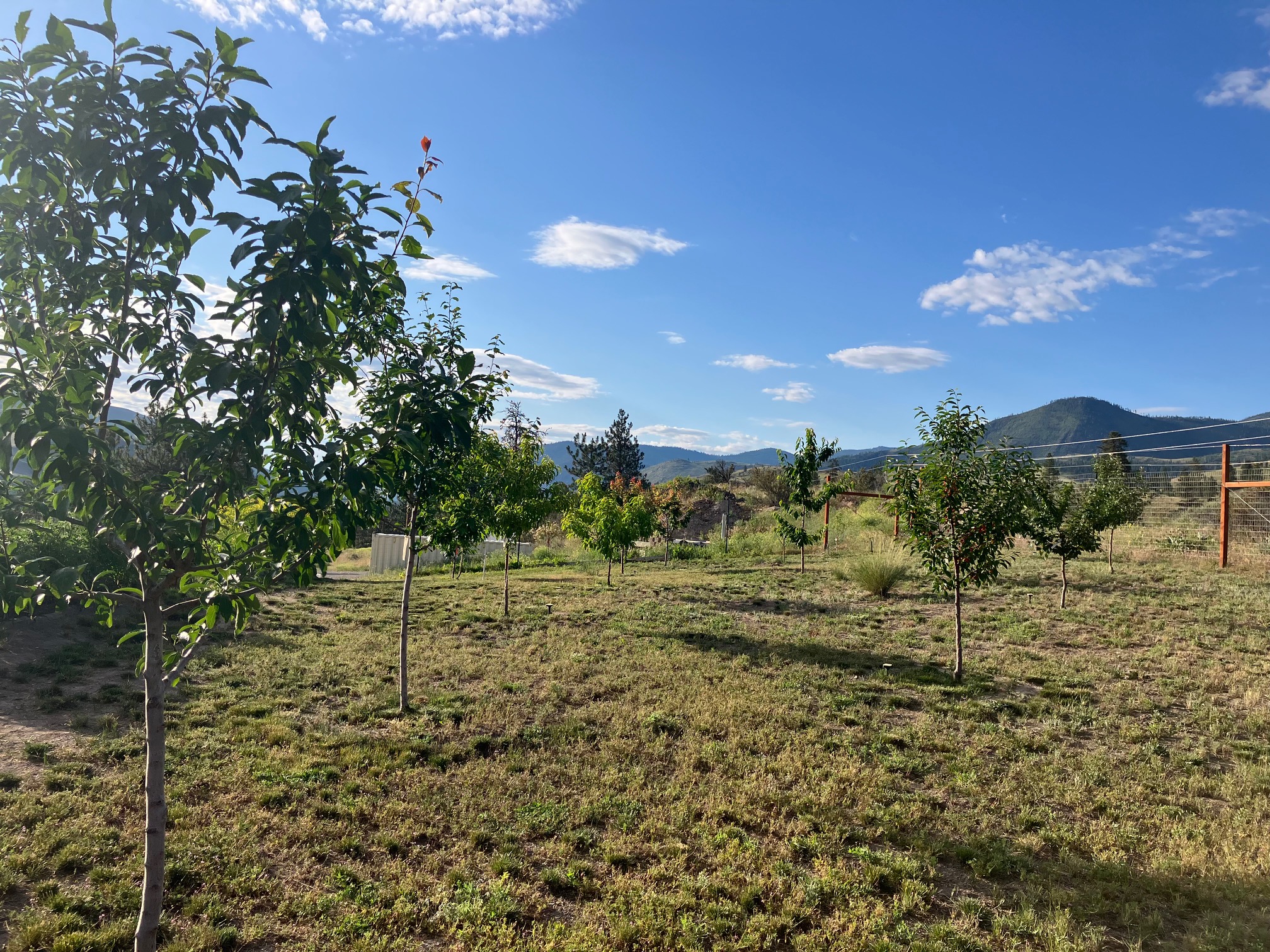 9701 Mt Hwy 200 Property Photo 61