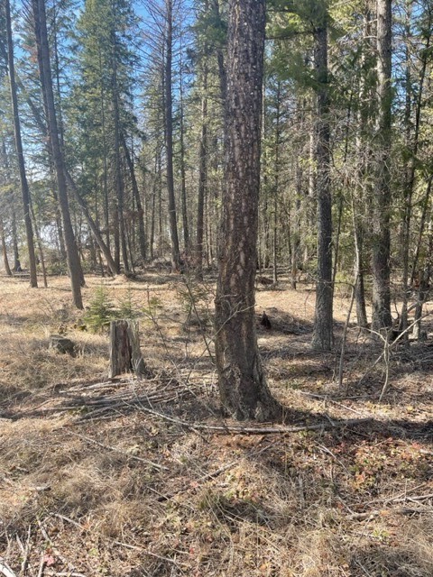 Lot 7 Sinclair Creek Road Property Photo 7