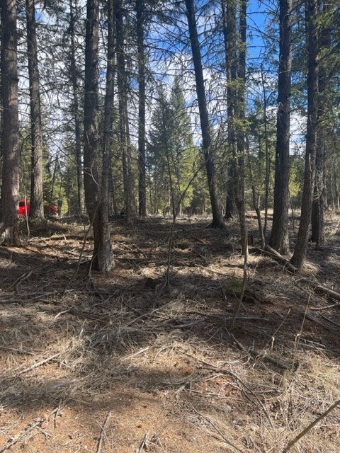 Lot 7 Sinclair Creek Road Property Photo 8