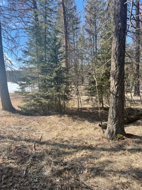 Lot 7 Sinclair Creek Road Property Photo 10