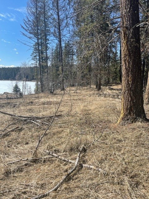 Lot 7 Sinclair Creek Road Property Photo 12