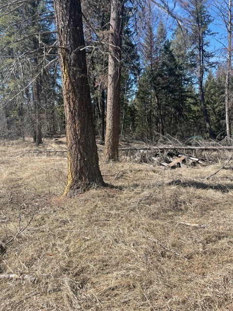 Lot 7 Sinclair Creek Road Property Photo 13
