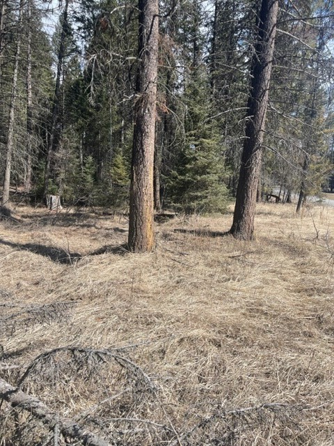 Lot 7 Sinclair Creek Road Property Photo 14