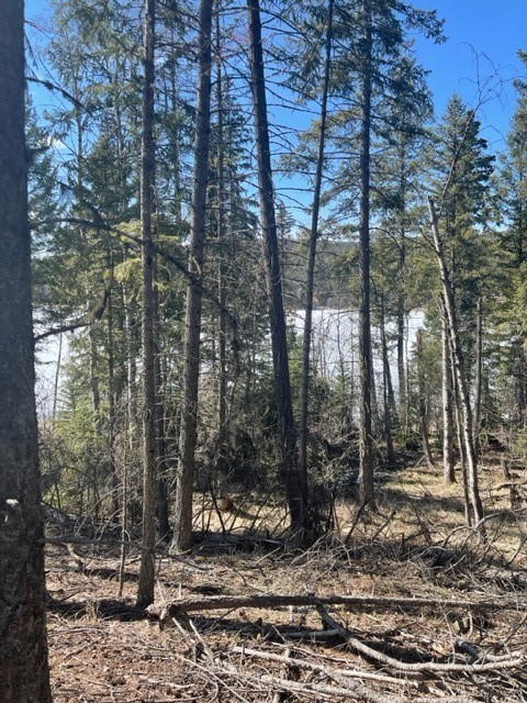 Lot 7 Sinclair Creek Road Property Photo 15