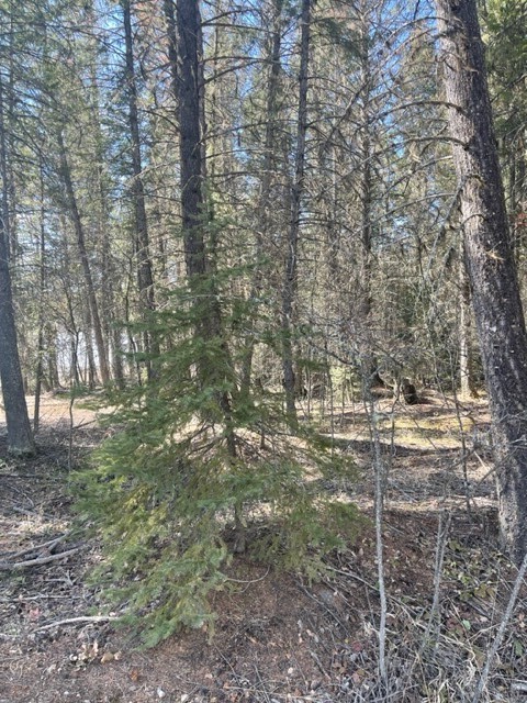 Lot 7 Sinclair Creek Road Property Photo 20