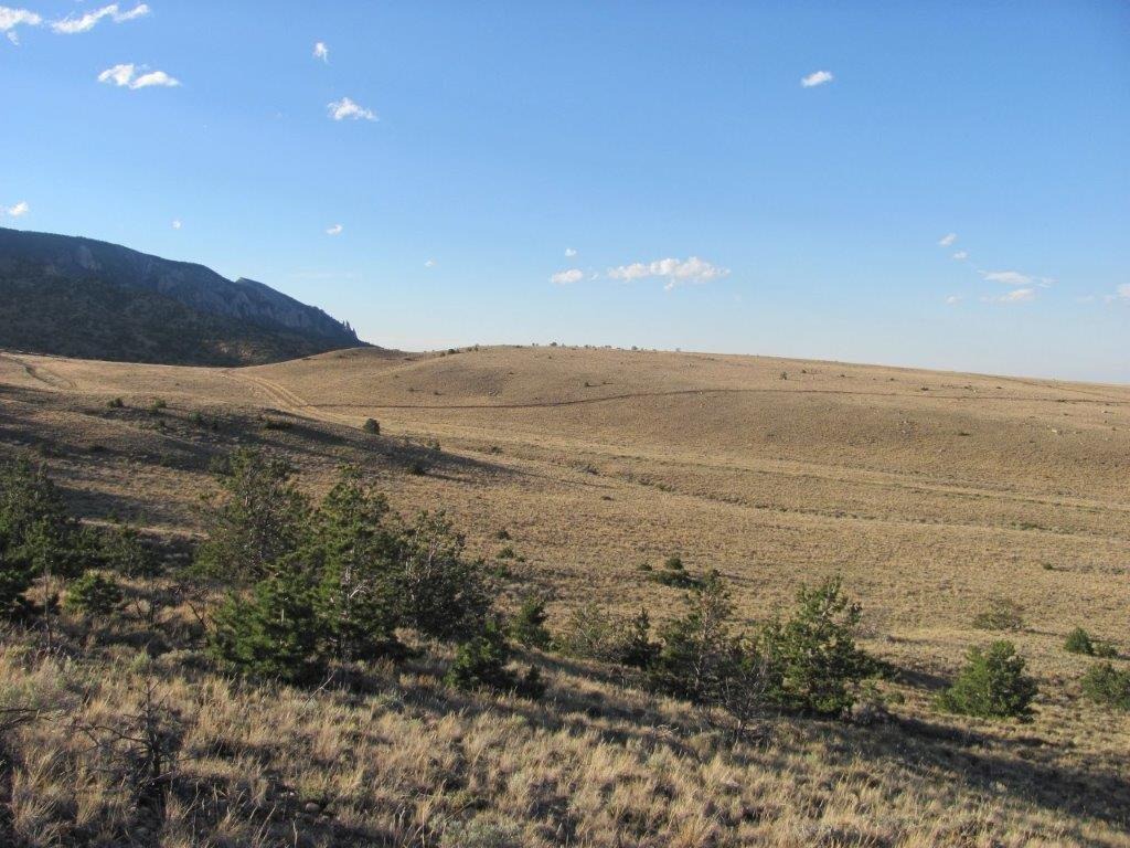 Tract 27 Ruby Creek Road Property Photo 3
