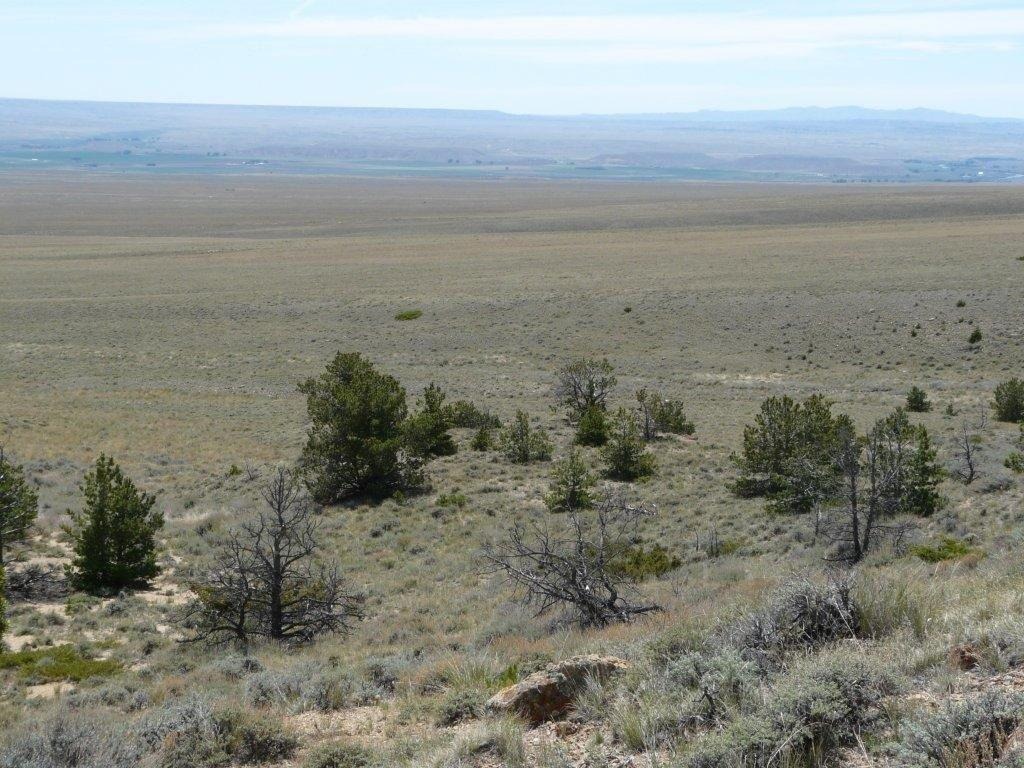 Tract 27 Ruby Creek Road Property Photo 4