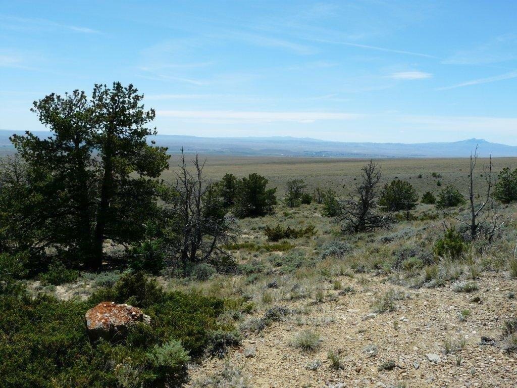 Tract 27 Ruby Creek Road Property Photo 5
