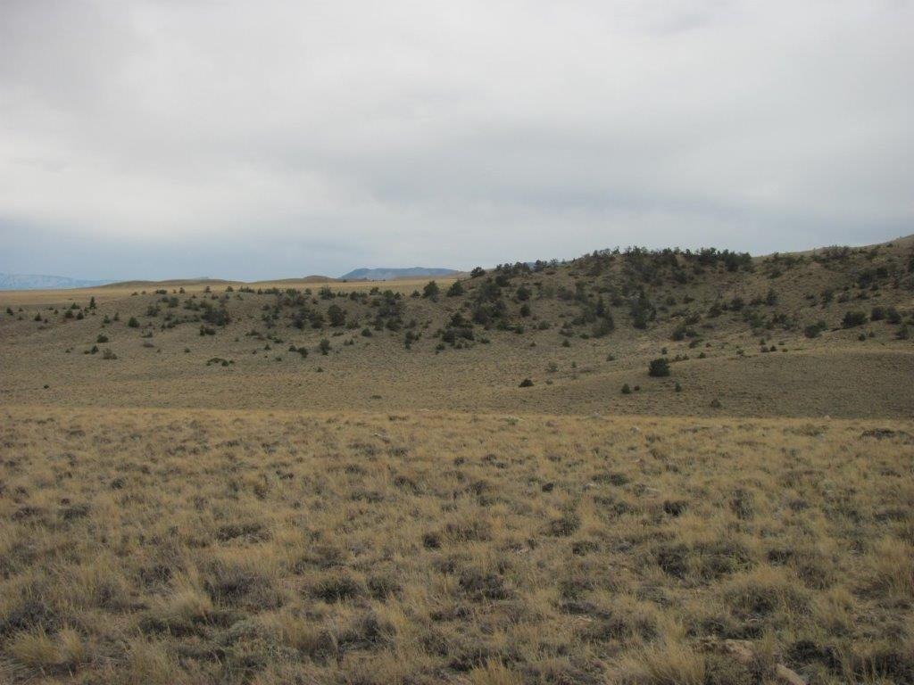 Tract 27 Ruby Creek Road Property Photo 6
