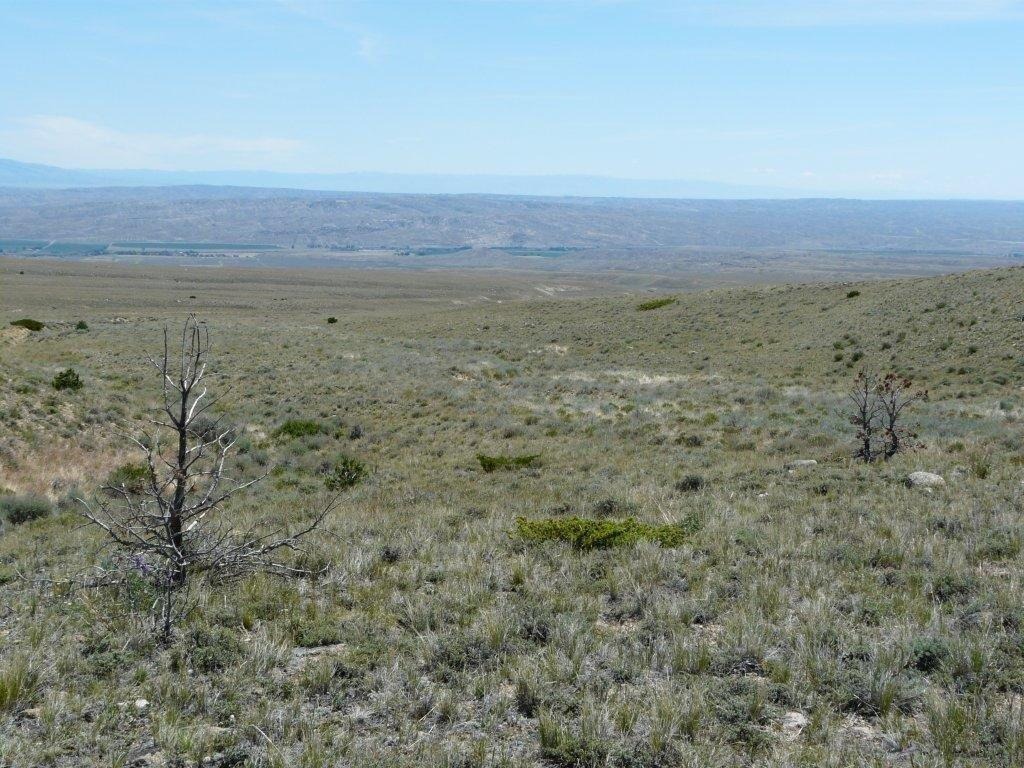 Tract 27 Ruby Creek Road Property Photo 7