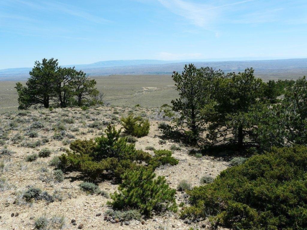 Tract 27 Ruby Creek Road Property Photo 11
