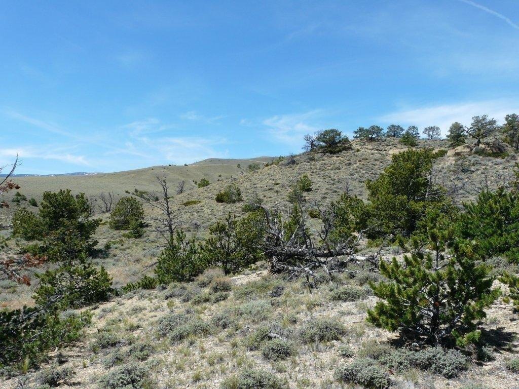 Tract 27 Ruby Creek Road Property Photo 16