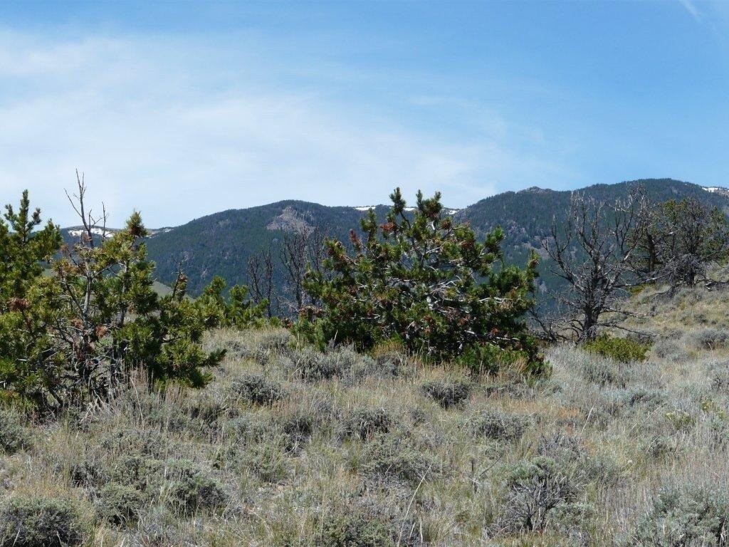 Tract 27 Ruby Creek Road Property Photo 18