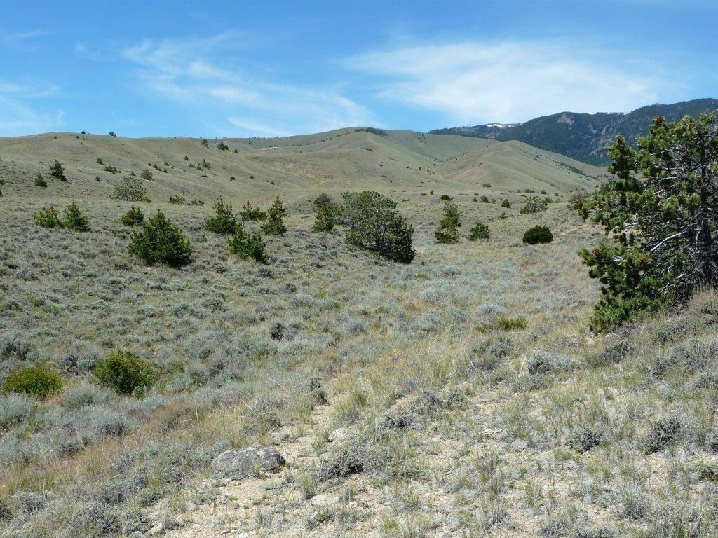 Tract 27 Ruby Creek Road Property Photo 19