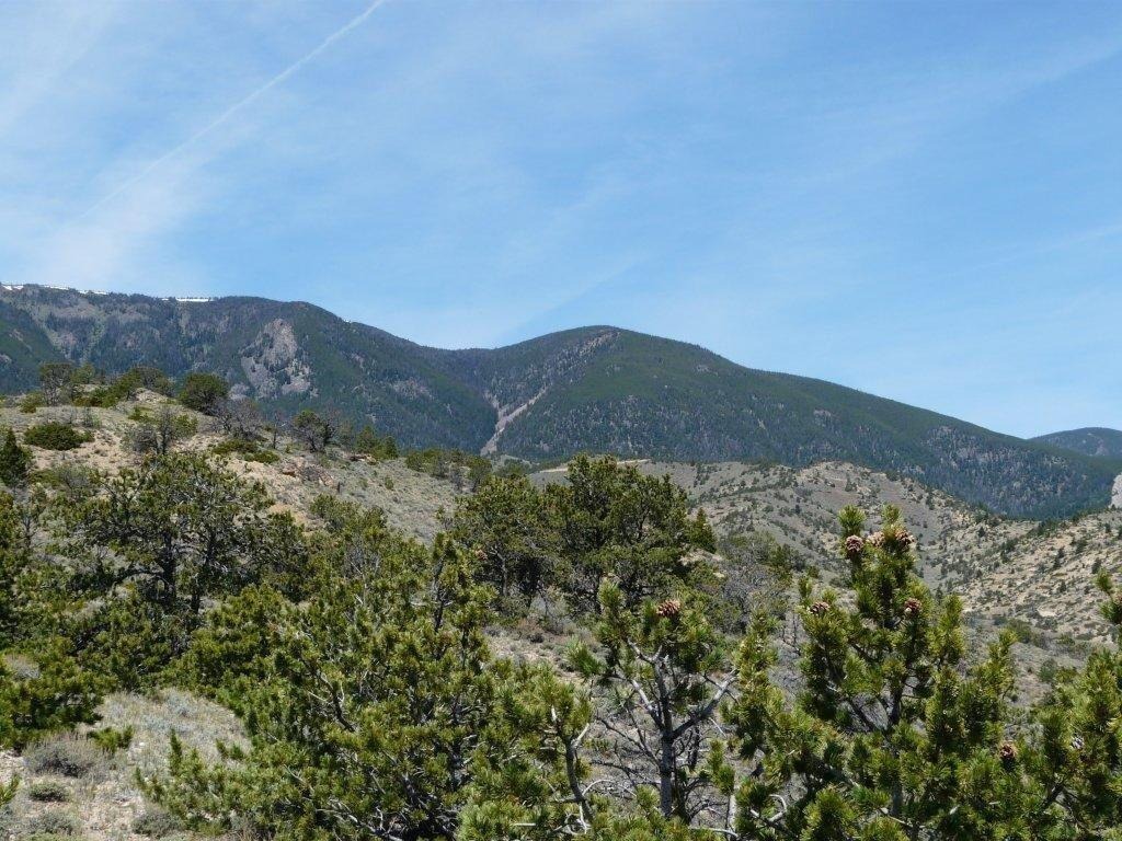 Tract 27 Ruby Creek Road Property Photo 23