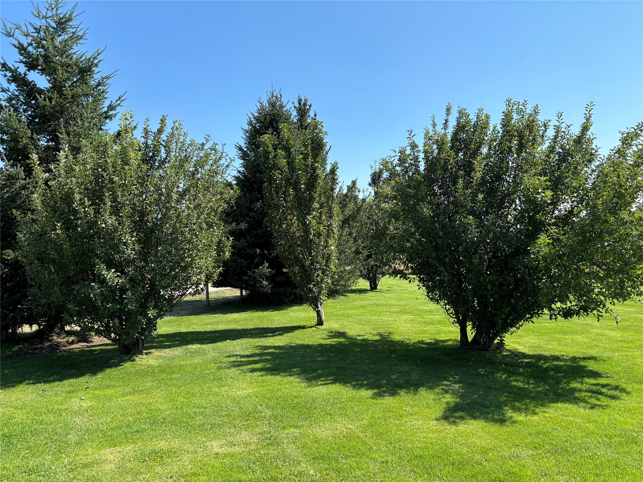 4735 Drake Lane Property Photo 44