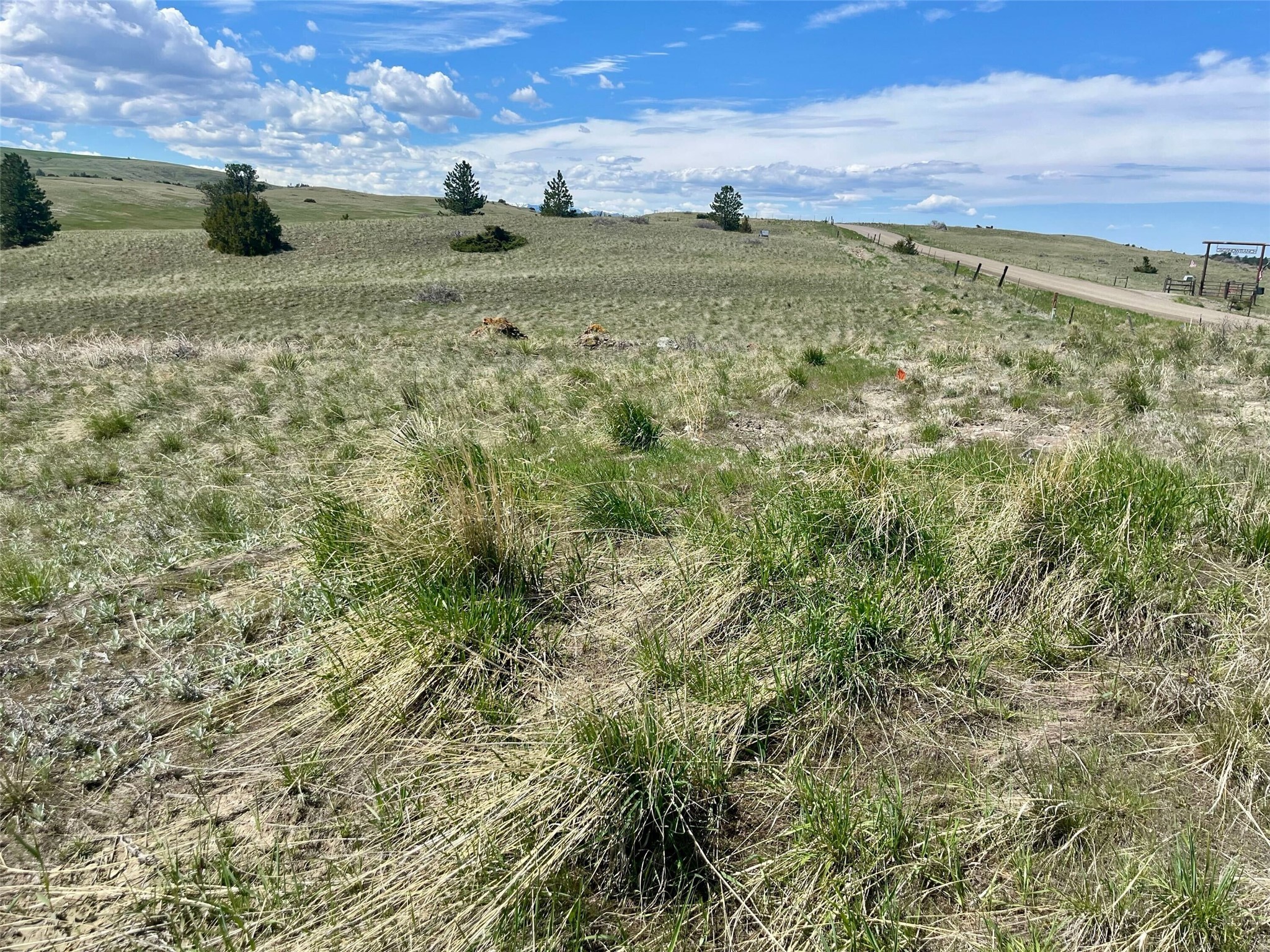 251 Hump Creek Lot 4 Road Property Photo 5