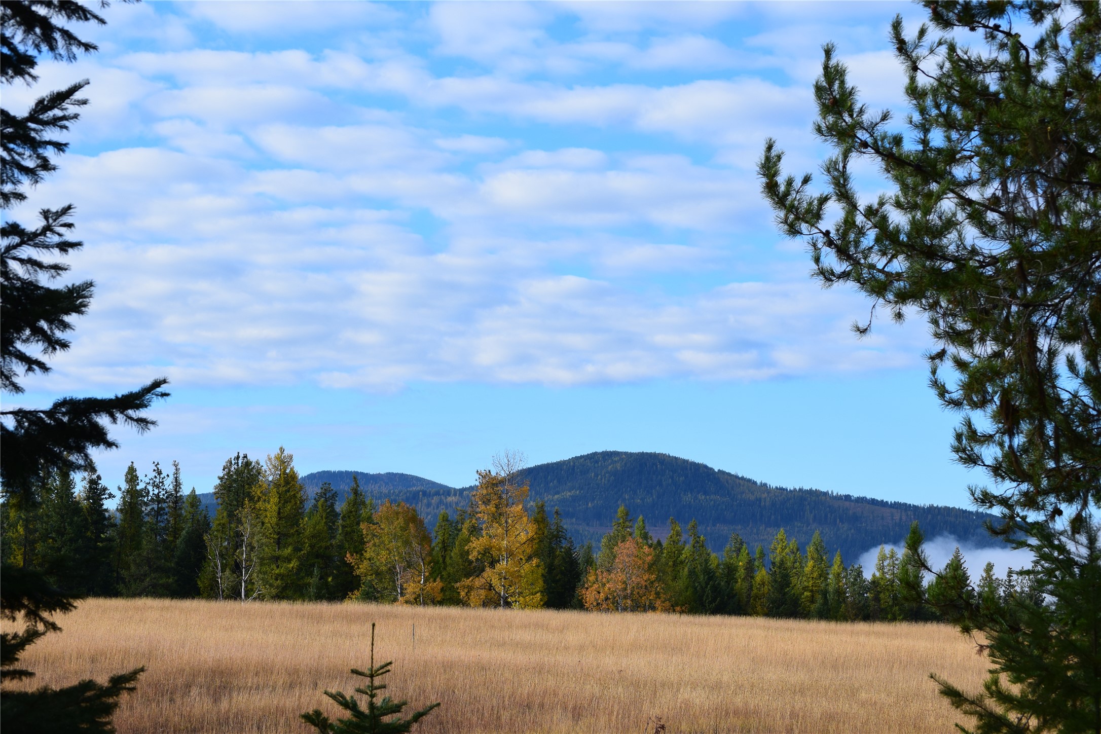 Nhn Timber Meadows Lane Property Photo