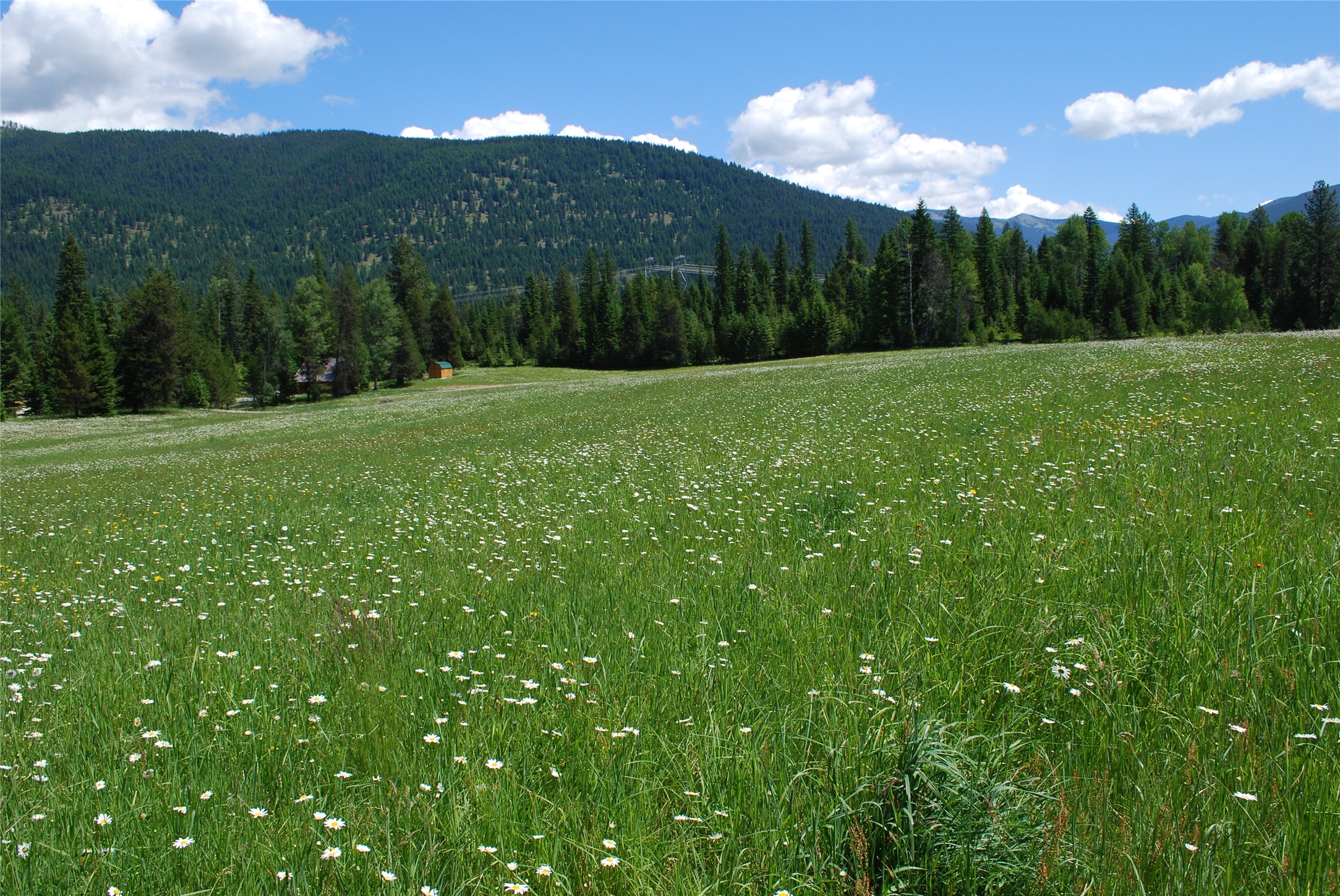 Nhn Timber Meadows Lane Property Photo