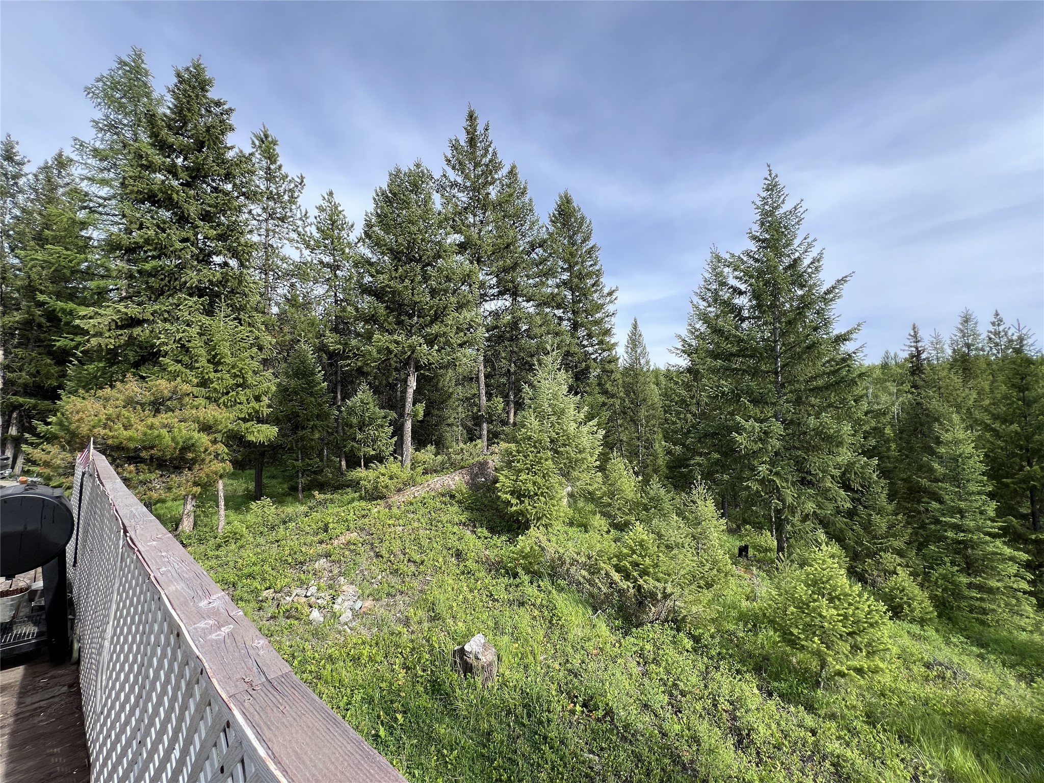347 & 673 Soaring Eagle Trail Property Photo 19