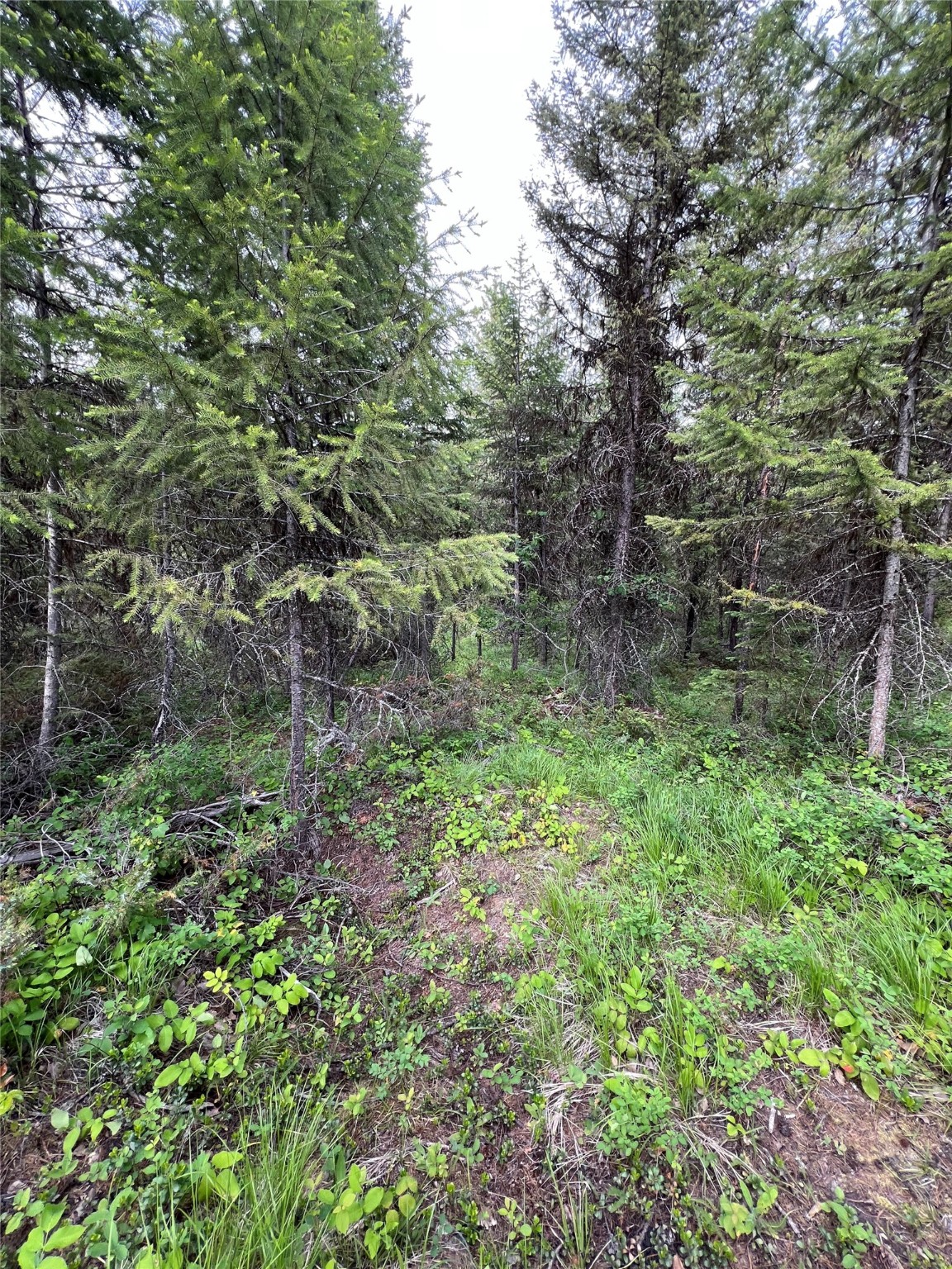 347 & 673 Soaring Eagle Trail Property Photo 81